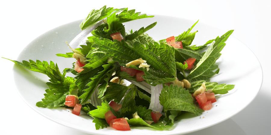 nettle-tomato-salad