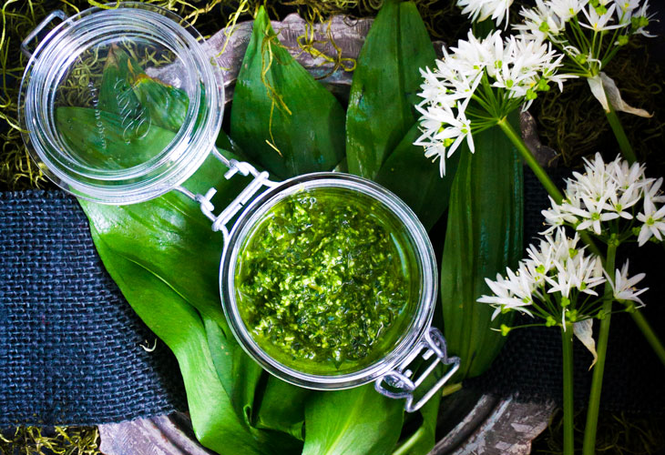 wild-garlic-pesto